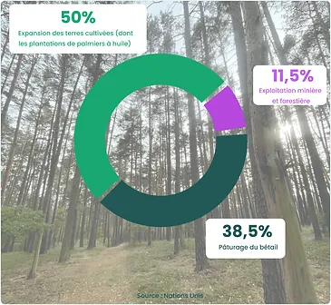 Diagramme circulaire montrant la répartition en pourcentage des arbres dans une forêt.