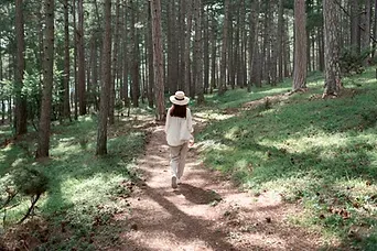 Une femme marchant dans une forêt