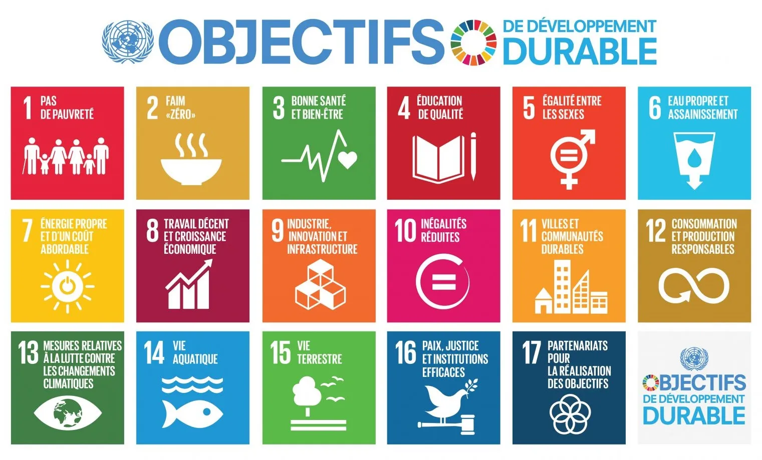 Les 17 ODD de l’ONU